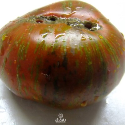 Tomatensorte Schokoladenlikör 10 Stück frische Samen. Tomatensamen Bio gentechnikfrei
