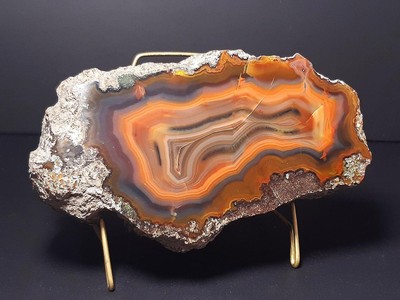 EXCEPTIONAL AGATE CONDOR SPECIMEN FROM ARGENTINA 649 Grams   1.43 Pounds (C-438)