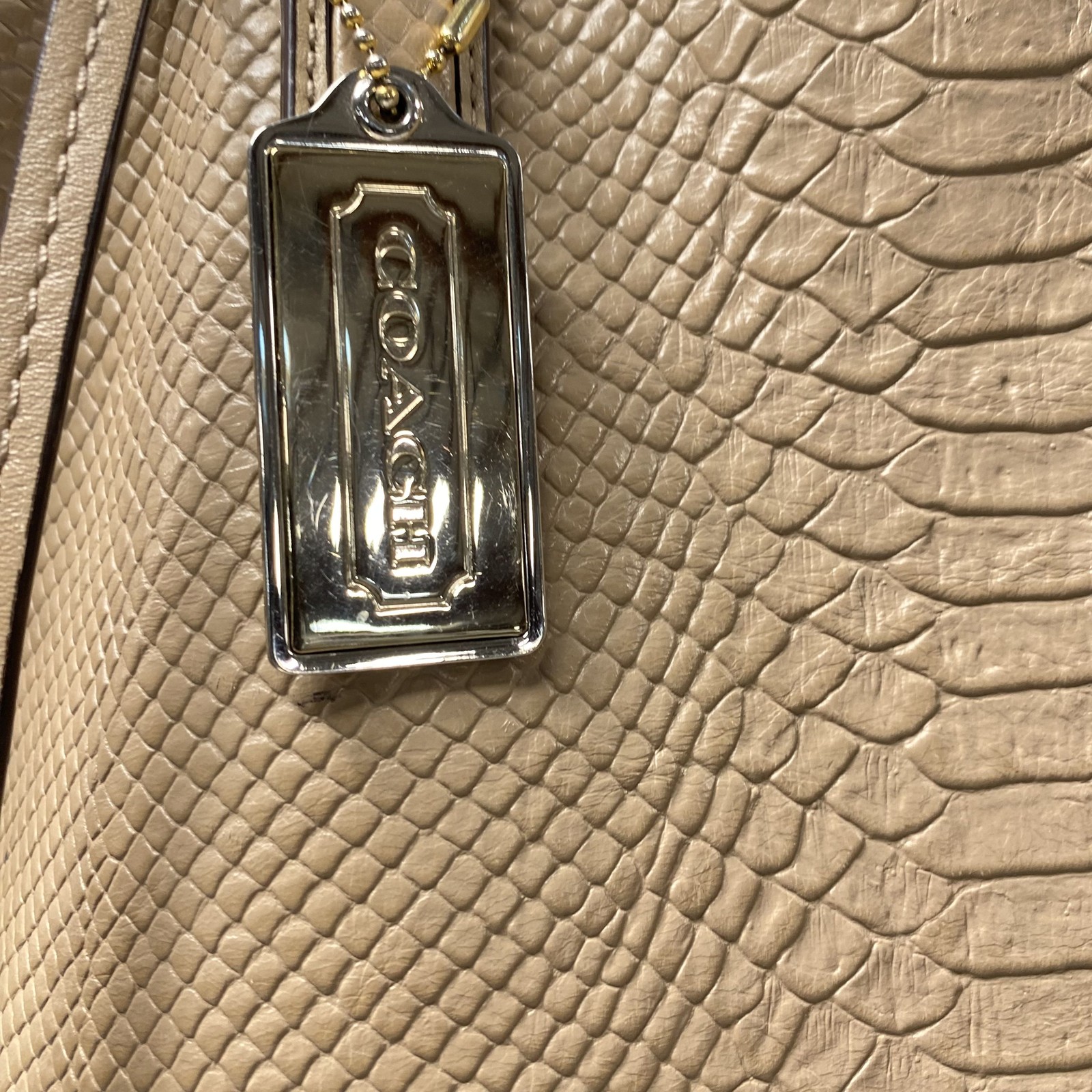 Coach Beige MB Elliott 19035 Python Embossed Sued… - image 2