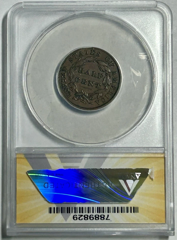 1833 1/2C Mint Error Classic Head Half Cent  (ANACS XF40 Rim Clip) RW18924VB - Image 2 of 4