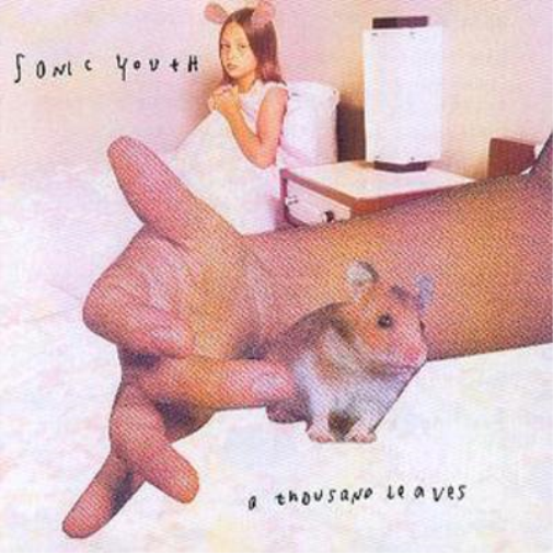 Sonic Youth A Thousand Leaves (CD) Album