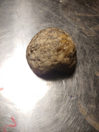 Geode Half Mexico Polished - Picture 5 of 14