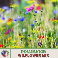 Wildflower Mix LANDSCAPER’S PACK BULK Top Sellers Non-GMO Pure Seed 1000 Seeds