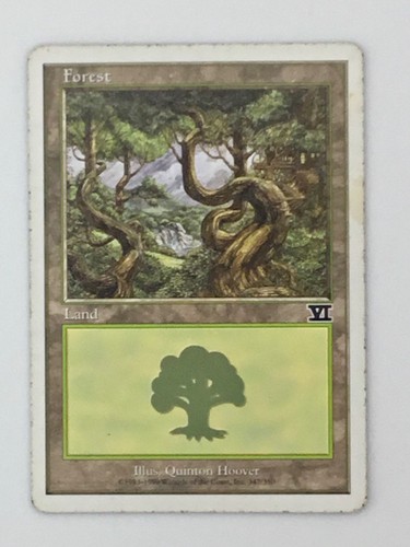 MTG Forest Land 6th Edition 347/350 Illustrated Quinton Hoover Wizards Coast - Picture 15 of 24