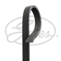 Keilrippenriemen 6DPK1195 Gates FüR Audi VW Ford Seat Skoda