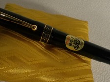 Pilot Fountainpen ECRINO Fine,Long term storage, As Is  from JAPAN Pilot USED