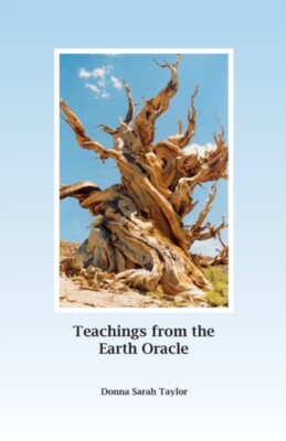 aylor - Teachings from the Earth Oracle  Earth Centered Spirituality - - N555z