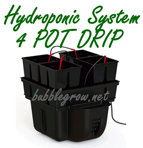 SISTEMA HIDROPÓNICO POR GOTEO PLATINIUM HYDRO STAR 40 4 POT + KIT BOMBA DE AGUA CULTIVO PLA - Imagen 1 de 2