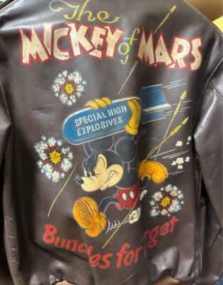 The Real McCoy's A-2 Leather Flight Jacket, Hiroshi Okamoto