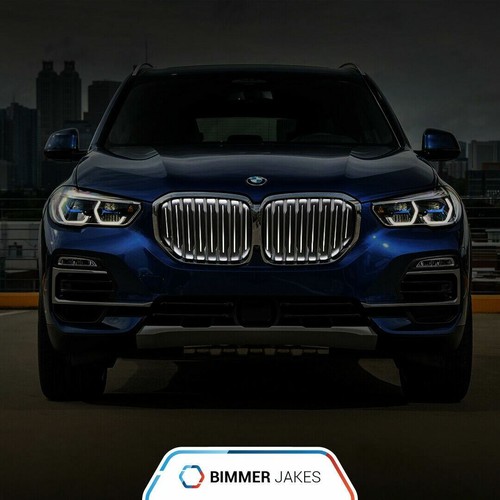 Custom kidney grille for BMW X5 G05 BimmerJakes Iconic Glow night ...