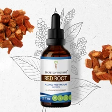Secrets Of The Tribe Red Root Tincture Alcohol-FREE