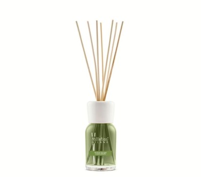 Brandani Diffusore Di Fragranza A Forma Di Cactus In Vetro Verde Con Bastoncini 17cm - 2