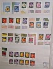 Federazione collezione FM fiori freschi di zecca