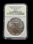 2015-W American Silver Eagle $1 Burnished NGC MS70