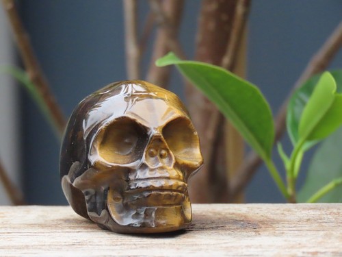 Tiger Eye Crystal Skull Polished Collectors Item Gold & Brown 76 Grams 50mm Long - Picture 13 of 13