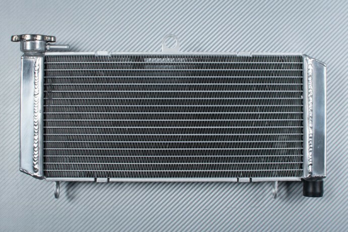 Radiateur eau Racing Honda CB600F Hornet 600 PC36 2003 2004 moto