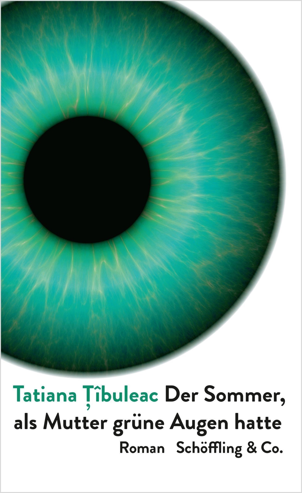 Der Sommer, Als Mutter Grüne Augen Hatte | Roman | Tatiana Tîbuleac |