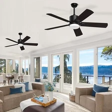 Jayjuly Ceiling Fans with Lights and remote, 60 Inch Black Outdoor Fan with R...