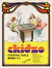 1976 MEADOWS CKIDZO VIDEO FLYER