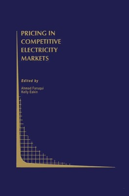 Pricing in Competitive Electricity Markets Ahmad Faruqui (u. a.) Taschenbuch