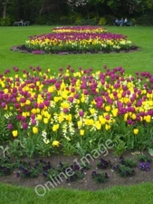 Photo 6x4 Flowerbeds in Merrion Square Park Baile Atha Cliath/O1632 The  c2011