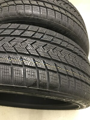 2 Stück 225/45/R19 Gripmax Status PR Winter
