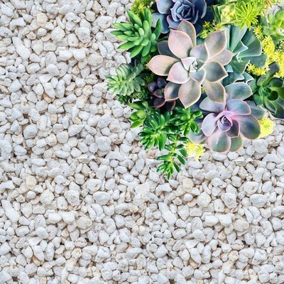 1 quart perlite, suitable for gardening, soil conditioner, and improves drainage