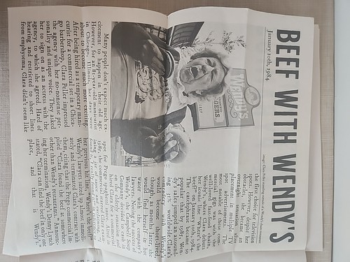 The Yesteryear Gazette Homeschooling Educational Newspaper - Picture 8 of 9