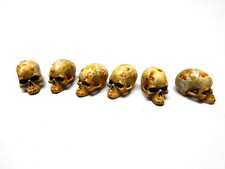 1/6 SCALE SKULL - SET OF 4 HUMAN SKULLS PAINTED