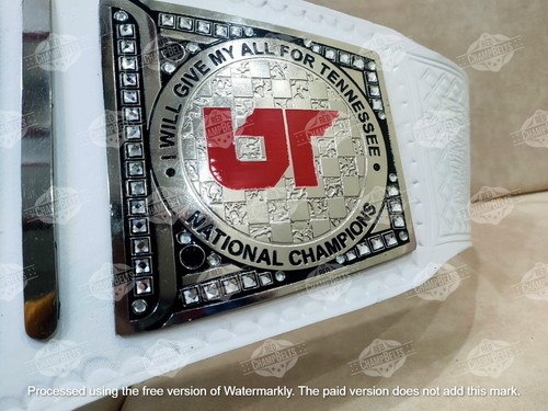 VOLS the University National Championship Belt Adult Size 2mm Brass - Picture 5 of 6