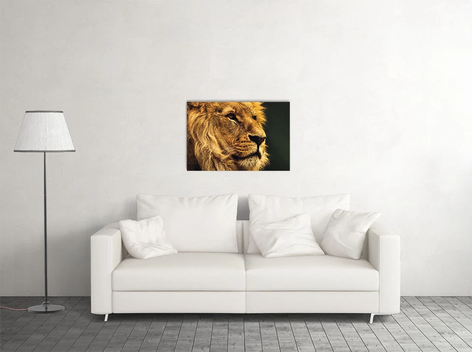 Дикий лев опасные животные природа картина печать настенное искусство дома - плакат 20 «x 30» - Изображение 2 из 3