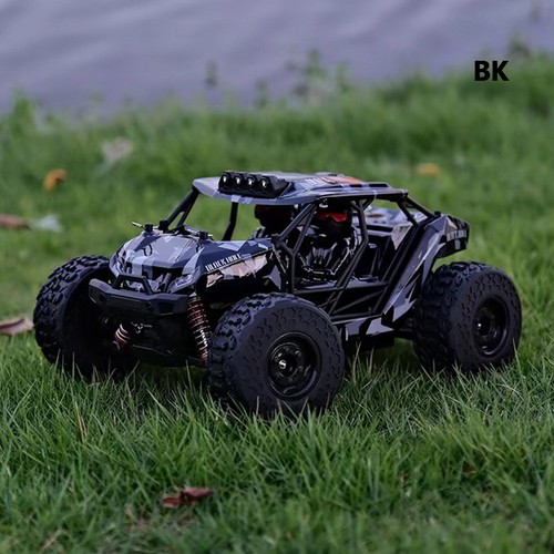 RC Car 2.4GHz 1:18 Scale Racing Rtr Off Road Truck Remote Control High Speed - Picture 16 of 18