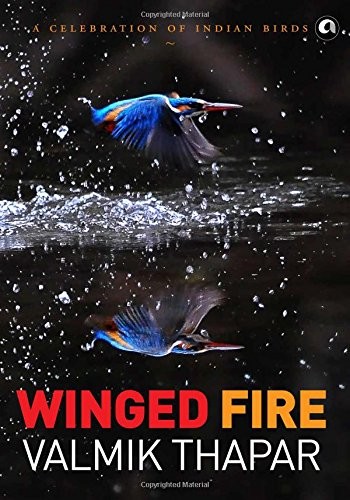Winged Fire by Valmik Thapar (Hardback Book) - Image 4