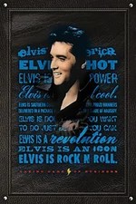Poster Studio B - Elvis Presley is Rock' n' Roll Classic Music Star 24x36" NEW