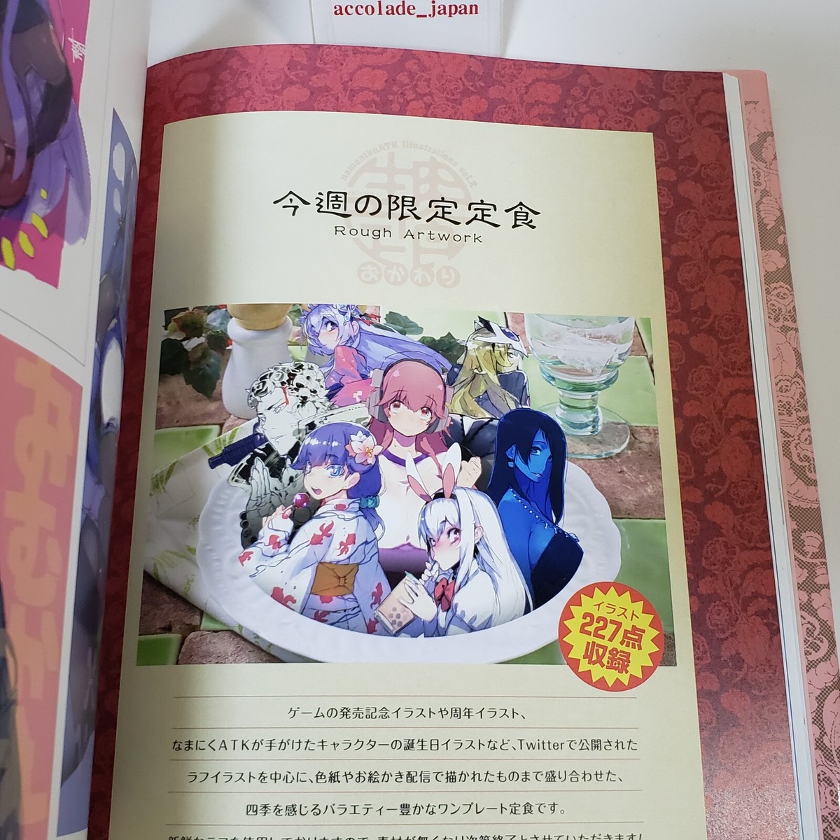 Namaniku ATK Illustrations Vol.2 Namaniku Set meal Art Book 175P