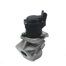 Original MAGNETI MARELLI AGR-Ventil 571822112029 für Citroën Ford Peugeot