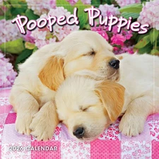 Sellers Publishing,  Pooped Puppies 2026 Mini Wall Calendar, 7'' X 7'', 12-Month