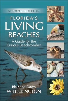 Blair Witherington Florida's Living Beaches (Taschenbuch)