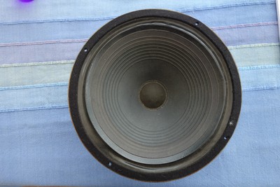 goodmans 12 inch speaker