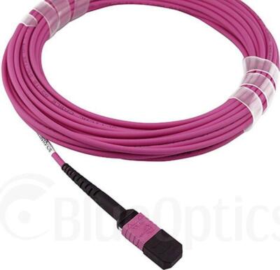FO MPO OM4 Trunkkabel 12-adrig 1 Meter Typ B