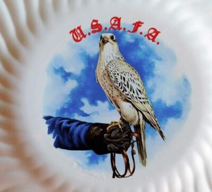 White Gyrfalcon USAFA Falconry Award Plate United States Air Force Academy Vtg