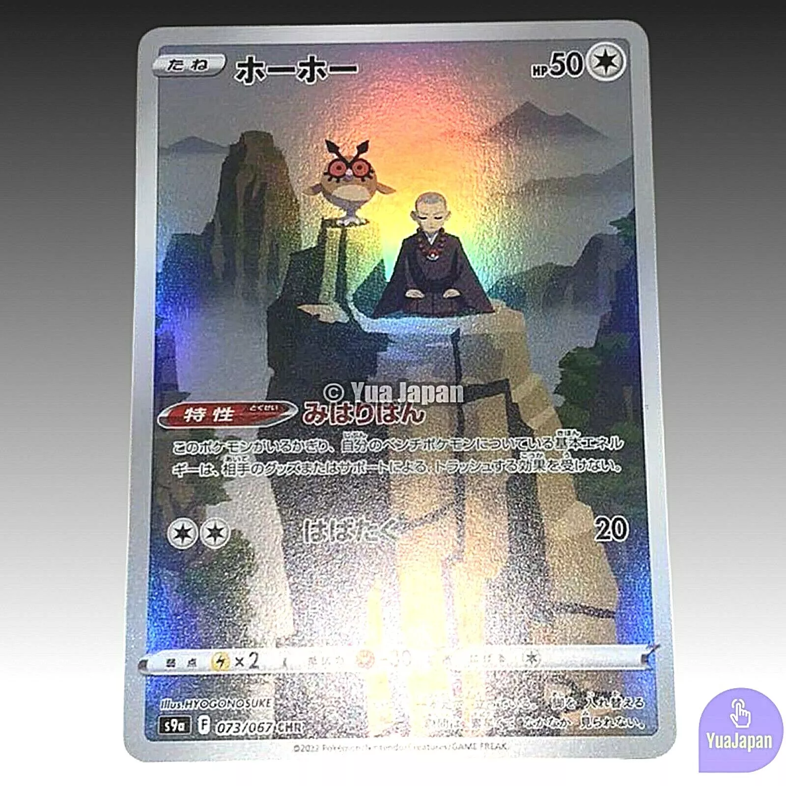 Foto 11 di 12