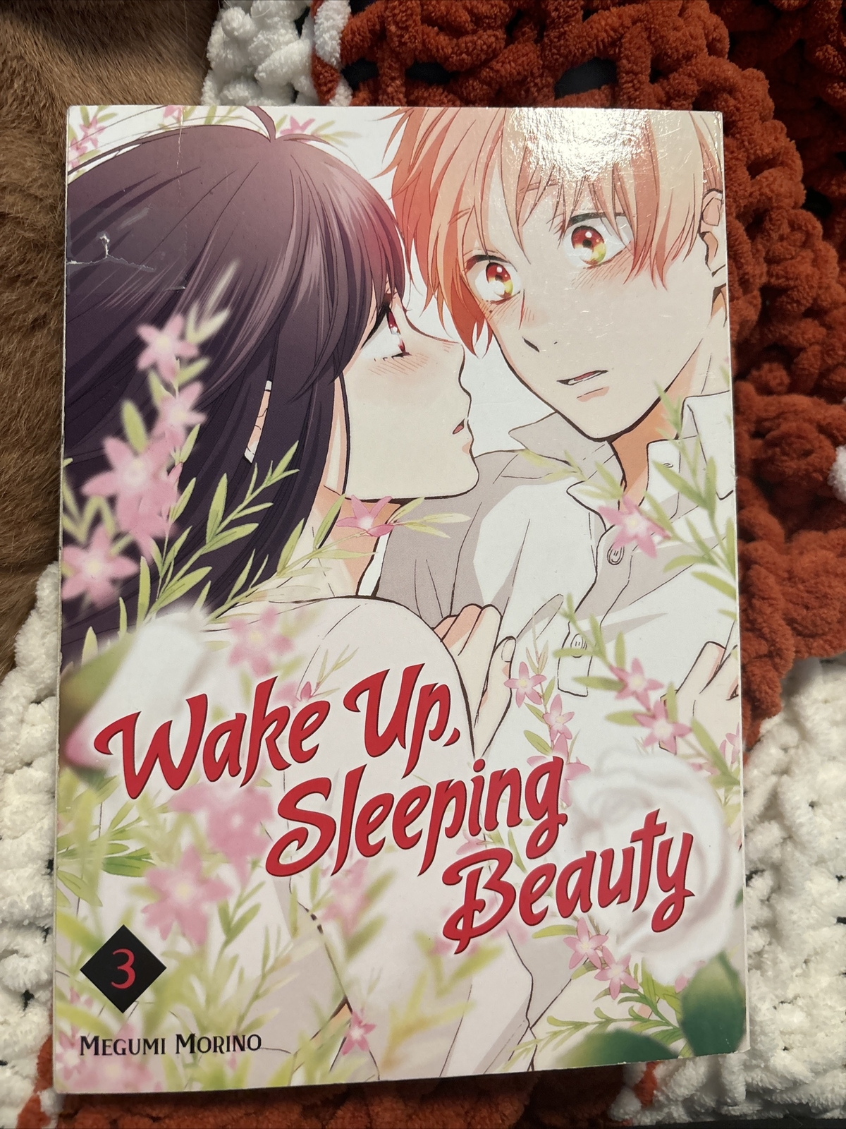 Wake Up Sleeping Beauty Vol 1 English Manga Graphic Novel New Edition-image