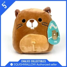 Squishmallows Kellytoy Plush Wilderness Animal Chip The Beaver 5" NWT