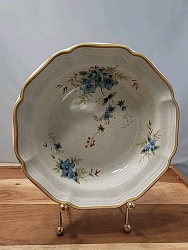 Mikasa Garden Club Day Dream Suppe/Salat Schüssel EC461 Vintage Japan 8 1/2" Last One