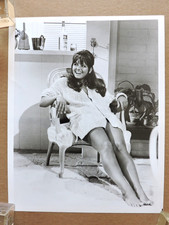 Claudia Cardinale orignal leggy barefoot portrait photo 1967 Don't Make Waves