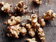 Jerusalem Artichoke/Sunchoke Rhizomes x 5 AVAILABLE to WA NOT TAS/NT