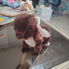 RUNNER Ty Beanie Baby Is It In The Weasel Family?   Error On Tush Tag