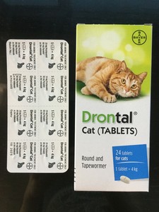 bayer broad spectrum dewormer for cats