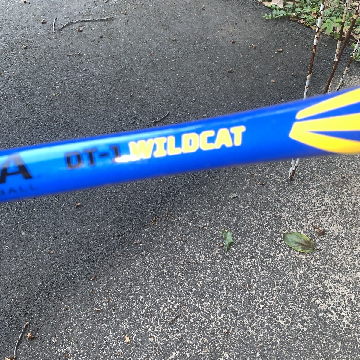 Batte de baseball en aluminium Easton 28/18 oz série DT-1 Wildcat YBM18WC
